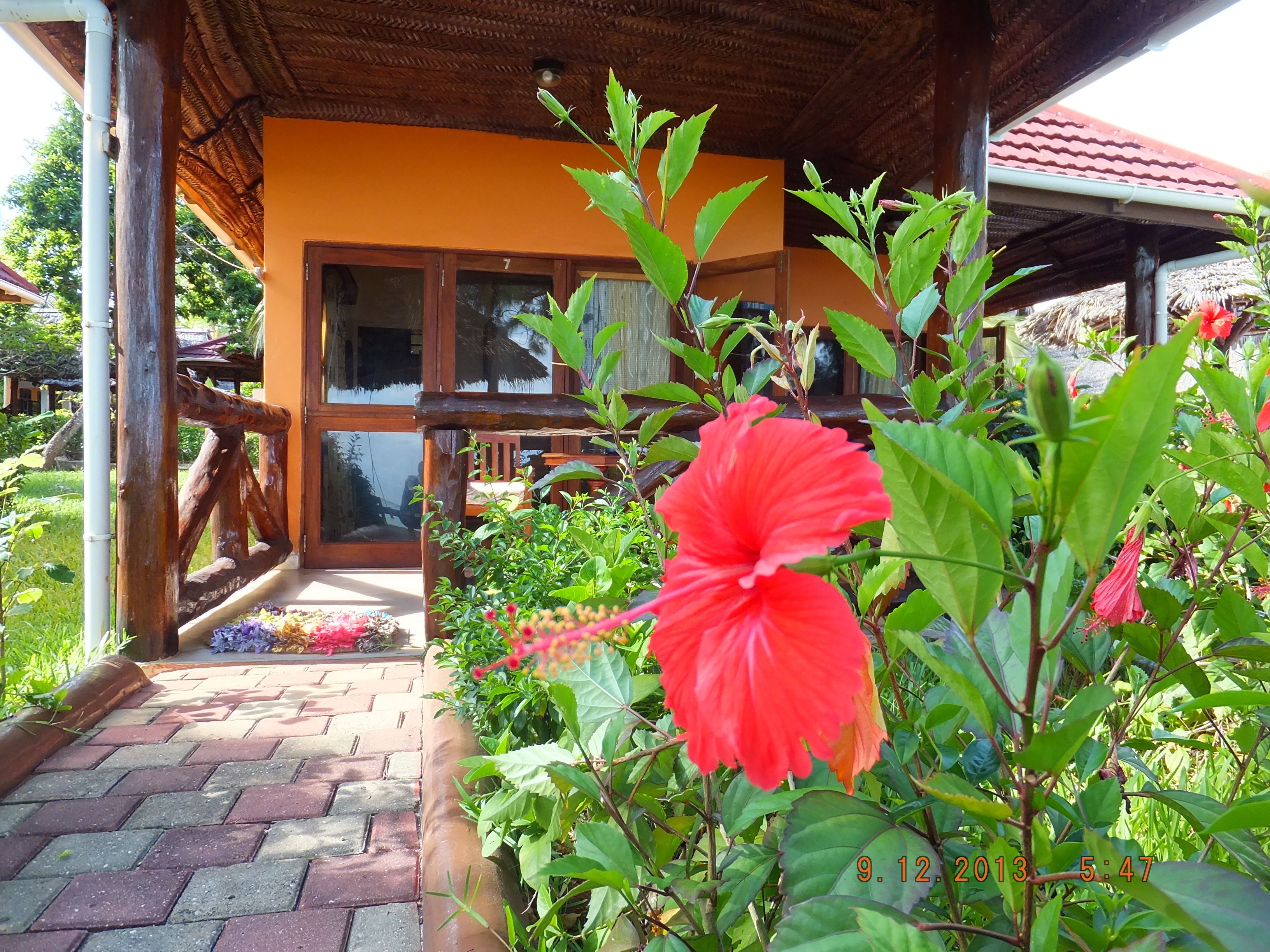 A covered outdoor area with a brick pathway leading to a wooden structure with glass doors.