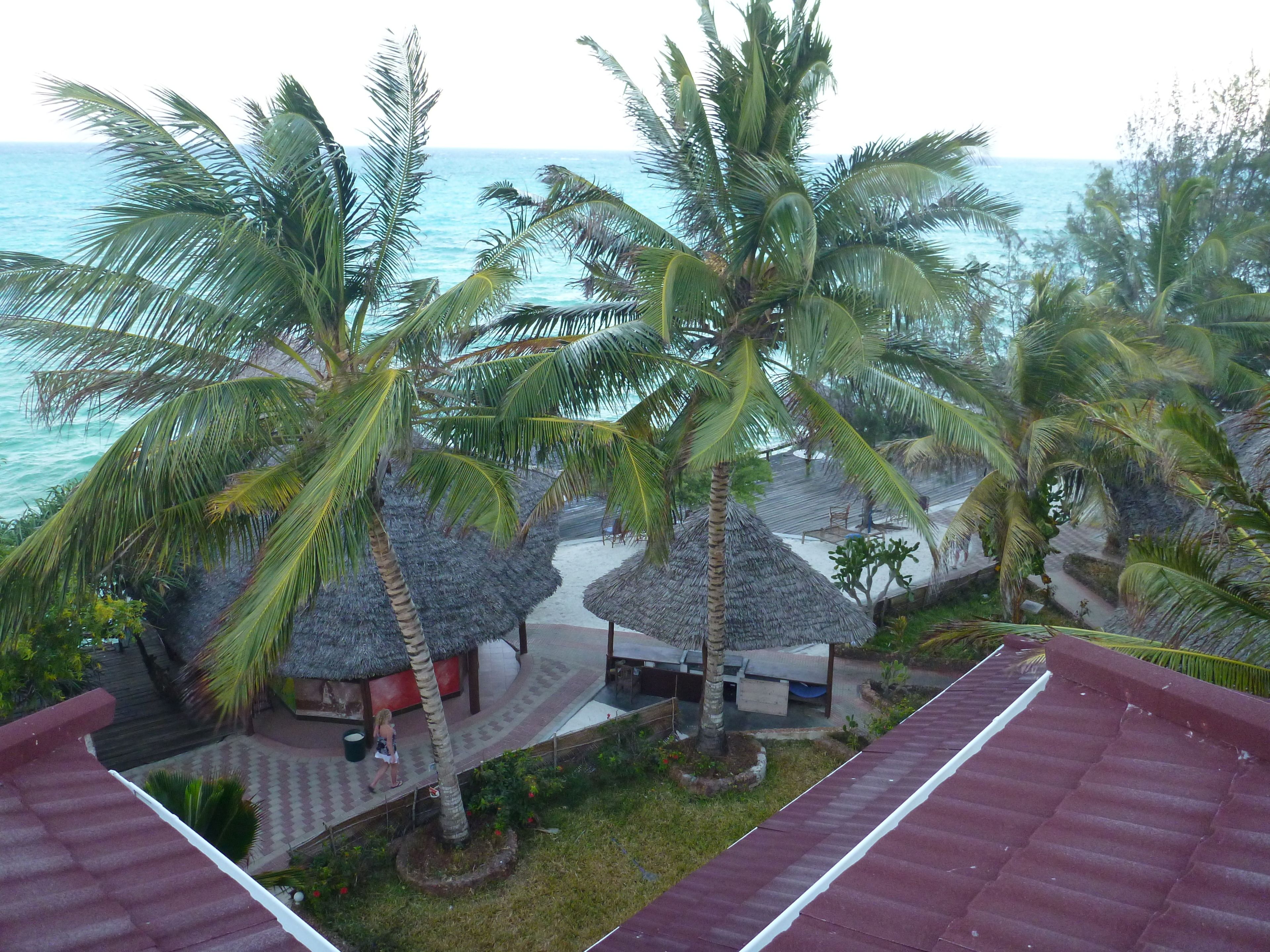 A resort with thatched-roof huts, palm trees, and a view of the ocean.
