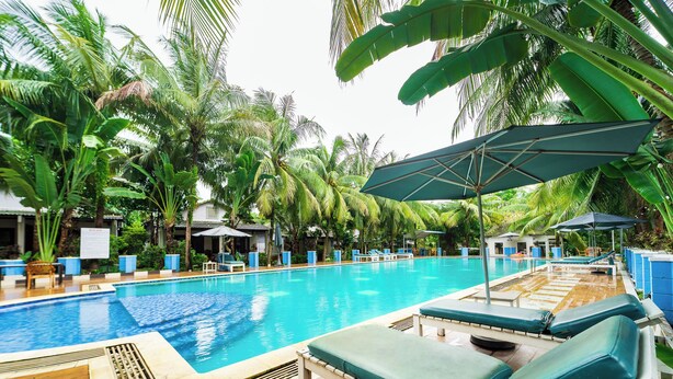 A pool area with lounge chairs and umbrellas, surrounded by palm trees. - Aris Resort (Phu Quoc)