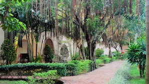 A pathway lined with lush greenery and hanging plants, leading to an arched entrance. - Diadem Resort (Phu Quoc)