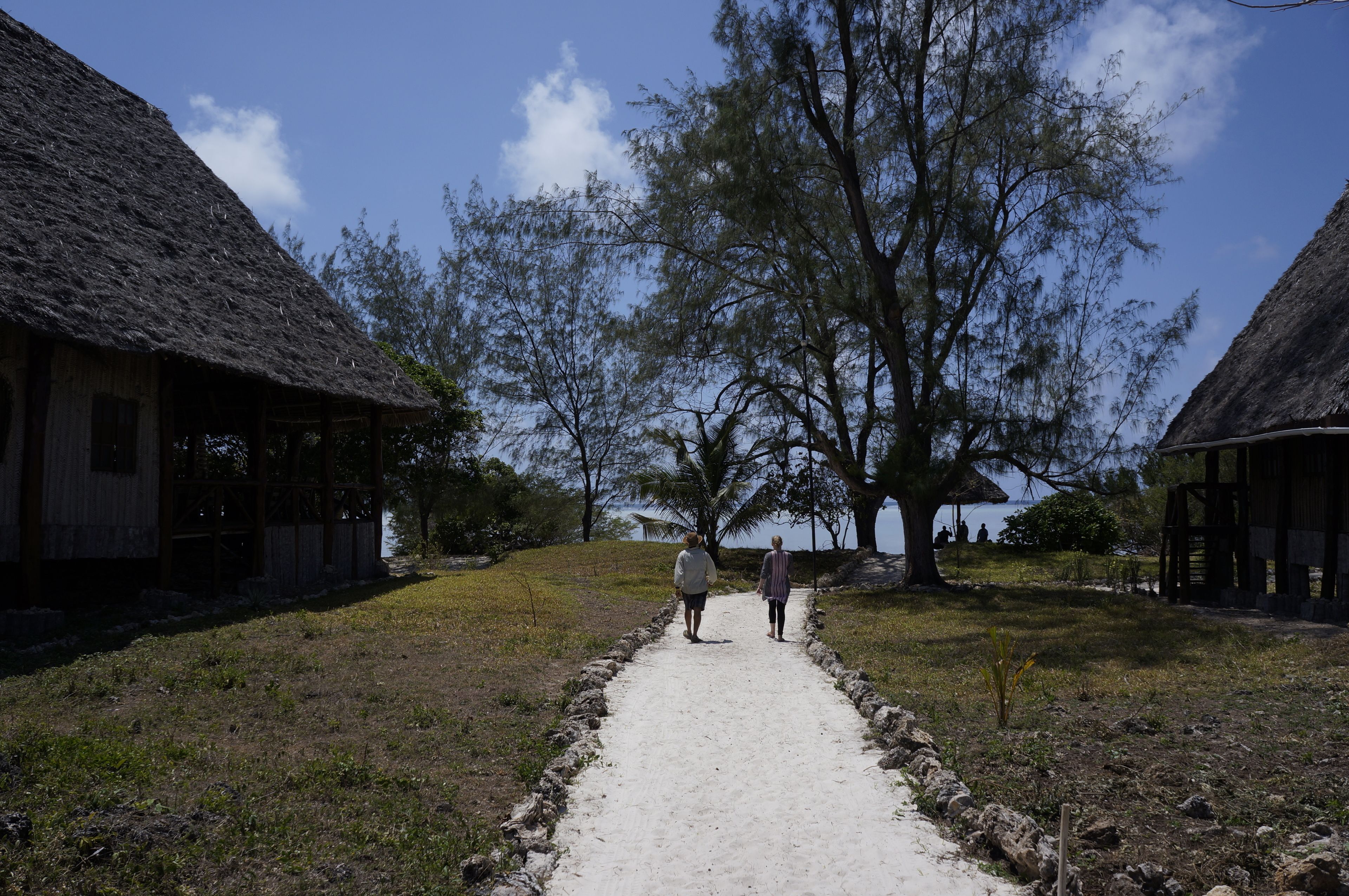 A pathway leading to traditional thatched-roof buildings, surrounded by trees and a clear sky.