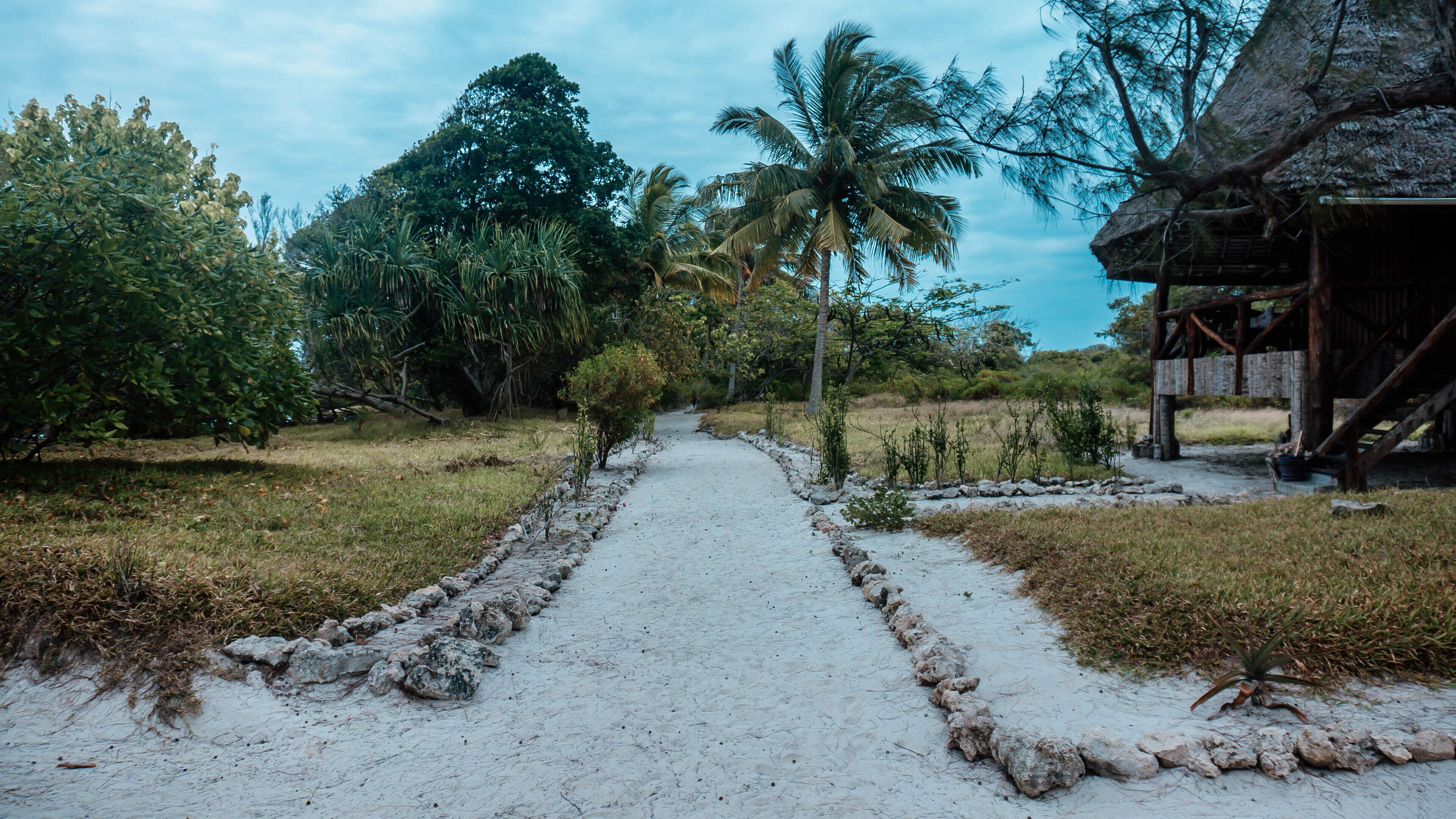 Un sendero conduce a una construcción rústica de madera, rodeada de vegetación tropical y palmeras.