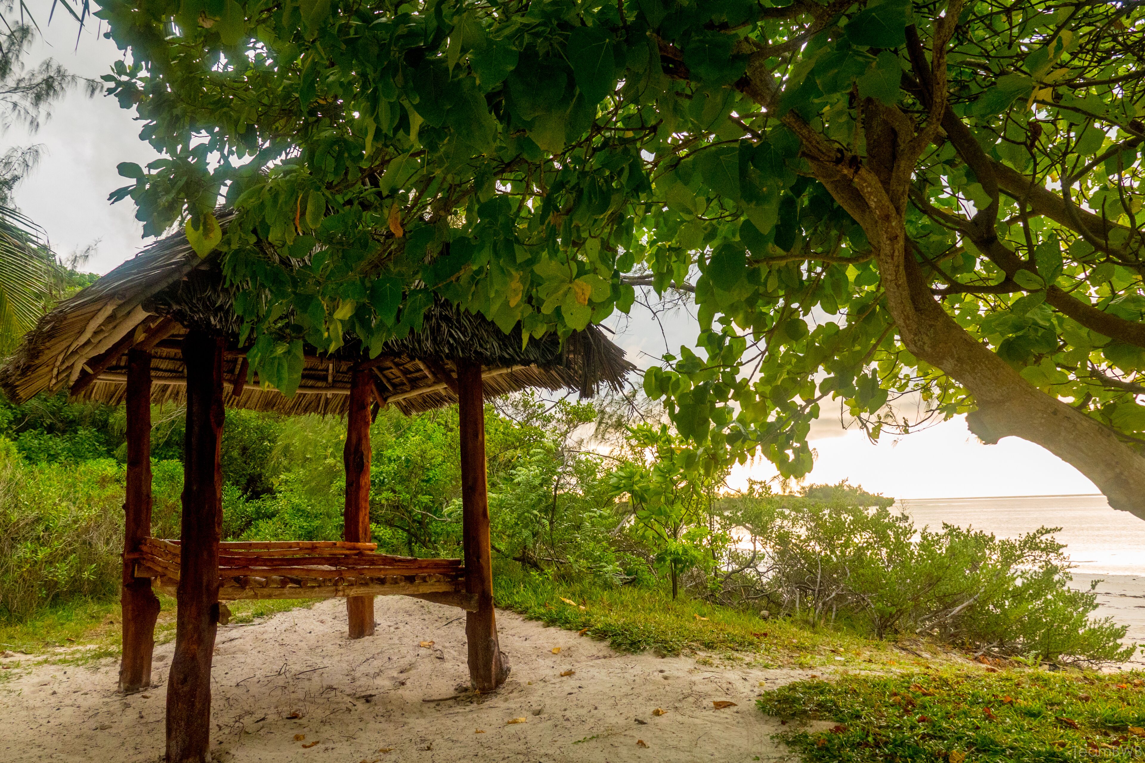 A wooden gazebo with a thatched roof, surrounded by sand and greenery, overlooking a beach.