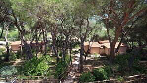 Una zona residencial con varias casas rodeadas de árboles frondosos.