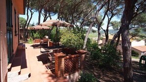 Un patio al aire libre con mesas y sillas, rodeado de árboles y vistas al paisaje.