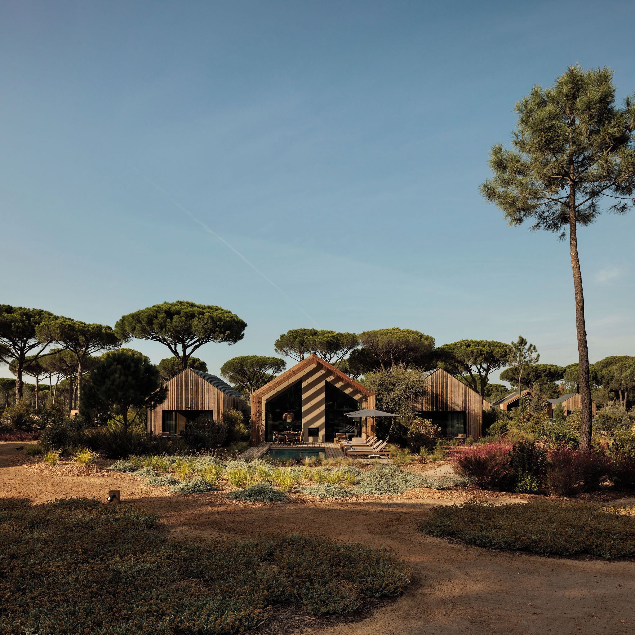 A modern villa with a central open-plan living area, surrounded by a garden with various trees and shrubs.