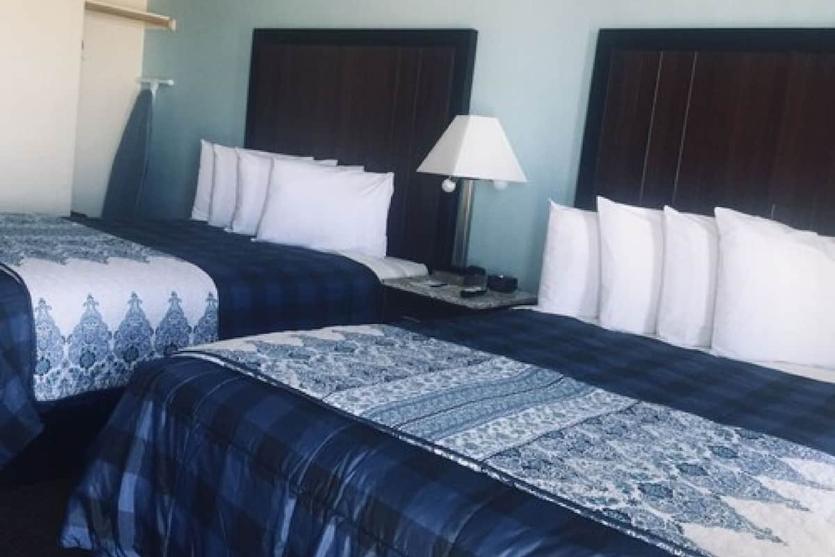 Een hotelkamer met twee bedden, elk voorzien van een donkerblauwe dekbedovertrek en witte kussens. Er staat een nachtkastje met een lamp en een klein dienblad.