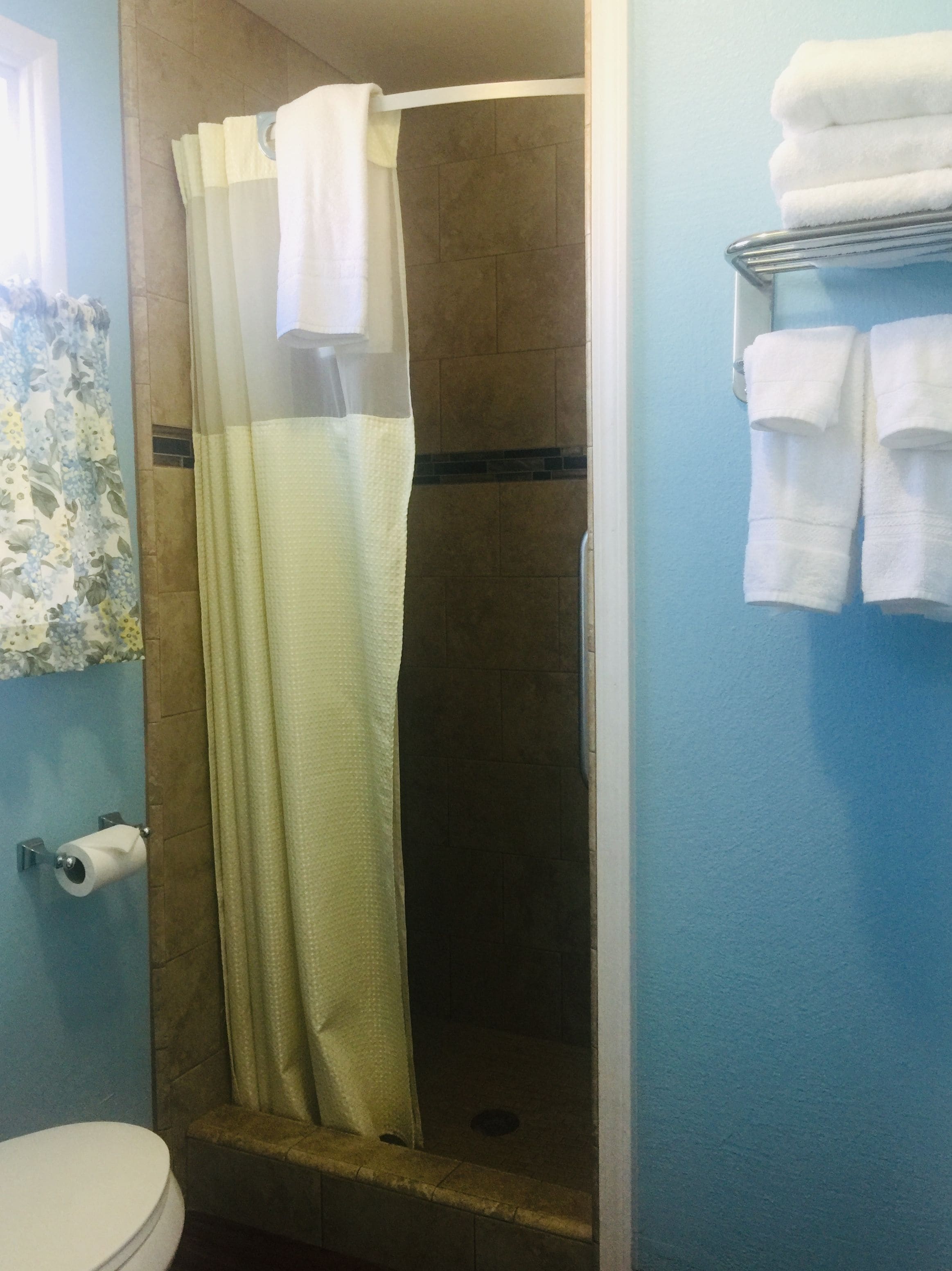 A bathroom with a shower, toilet, and towel rack.