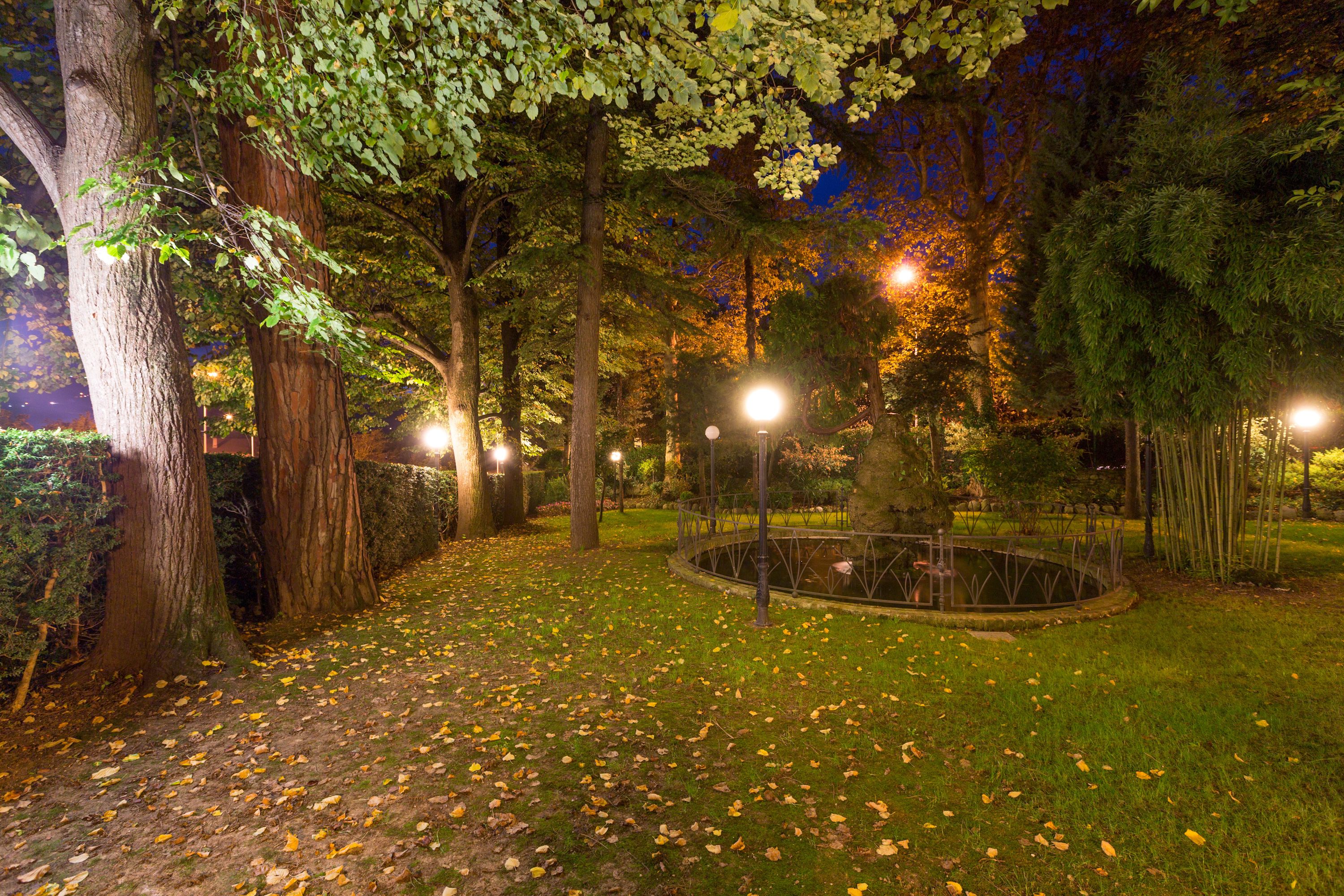 A nighttime park scene with trees, a circular pond, and street lamps.