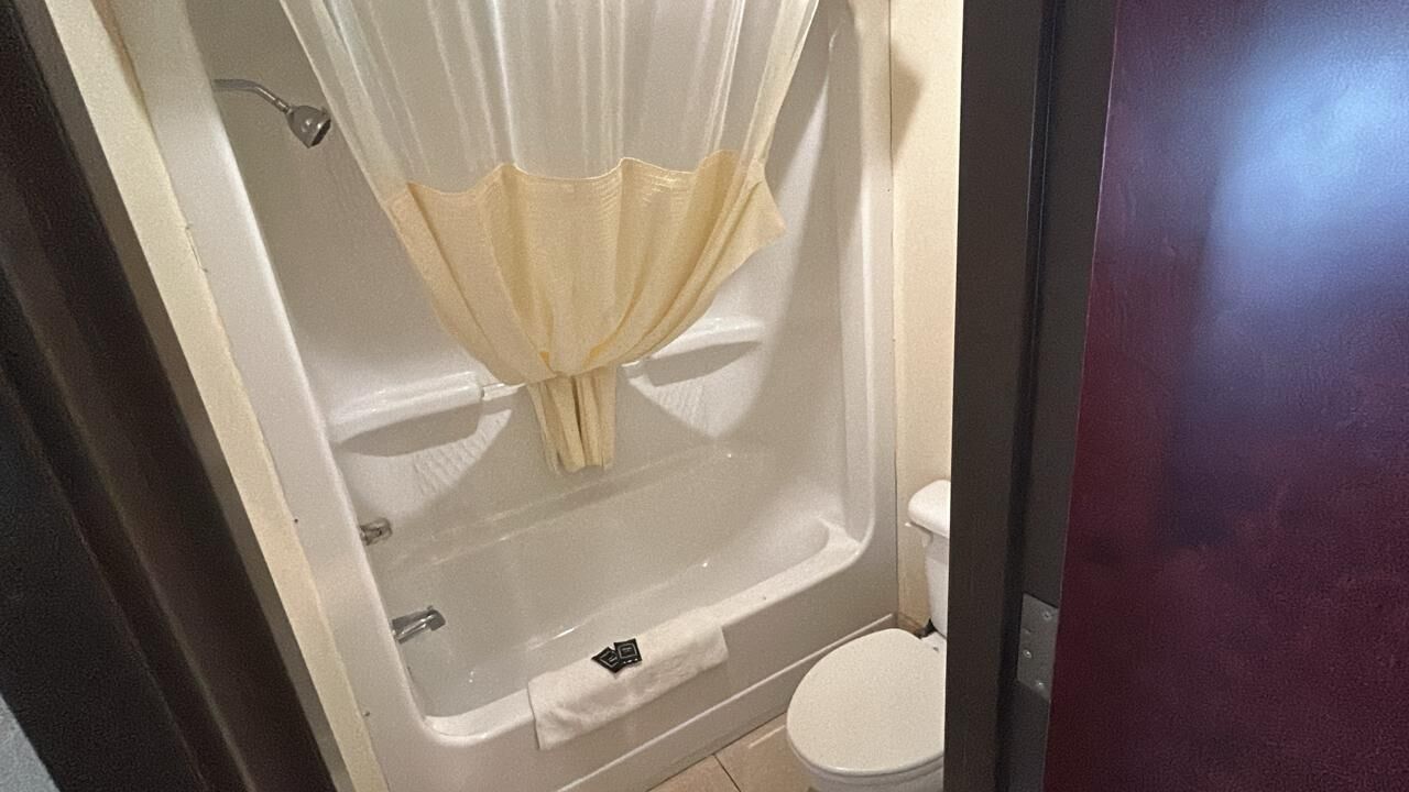 A bathroom with a bathtub, toilet, and shower curtain.