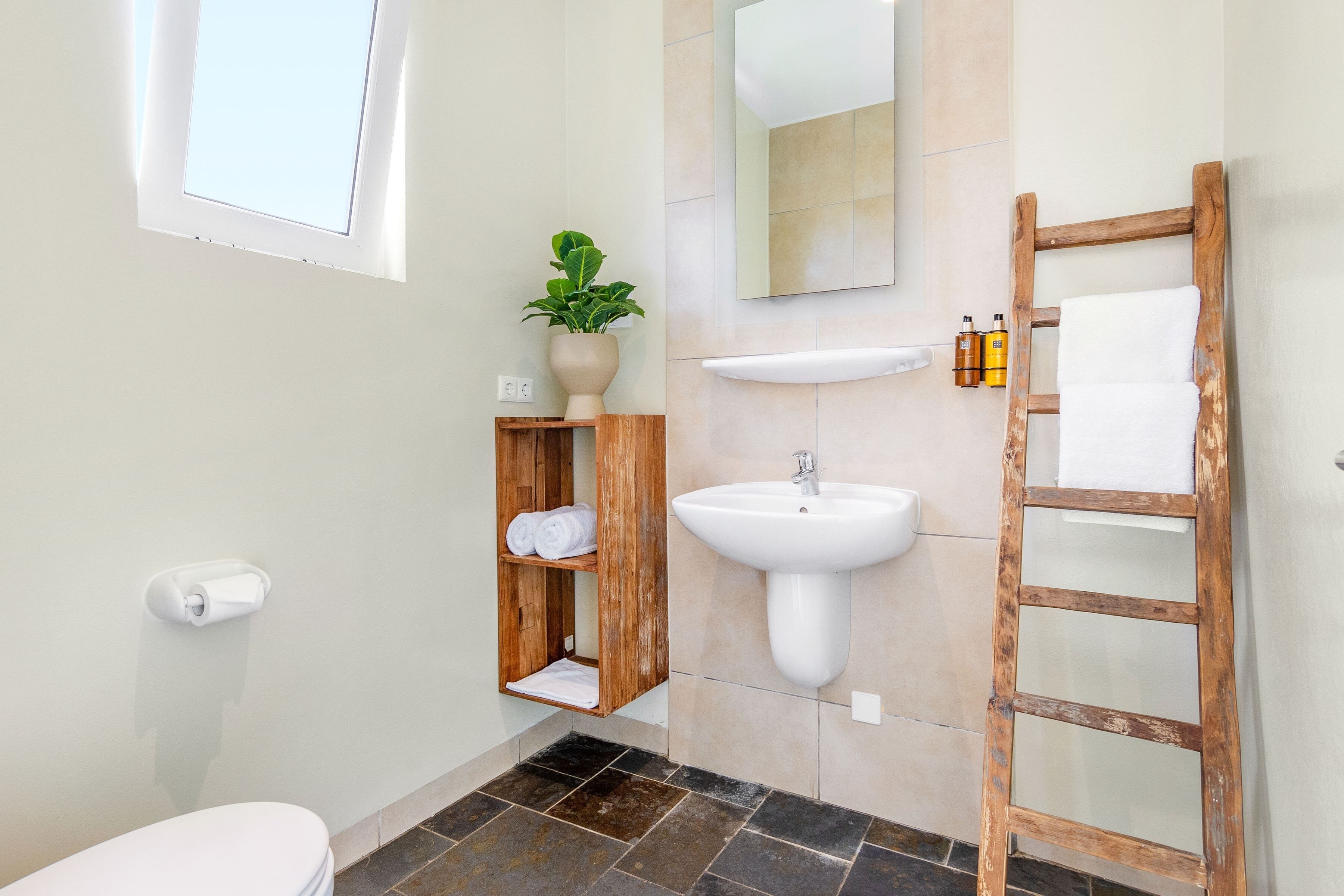 A bathroom with a white sink, wooden shelves, a potted plant, a mirror, and a wooden ladder.