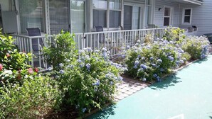 Een gelijkvloers huis met een overdekte veranda, een kleine tuin met verschillende planten en bloemen, en een geplaveid pad.