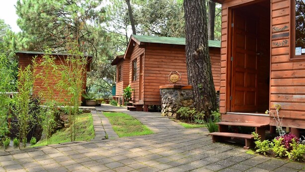 A wooden cabin with a stone foundation, surrounded by lush greenery and a paved pathway.