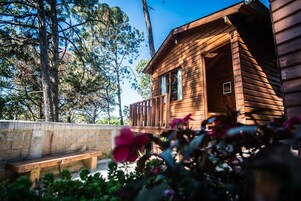 Habitación estándar | Vistas desde la habitación