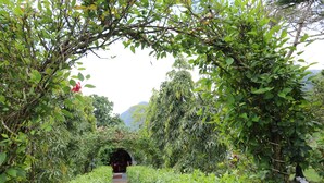 A pathway surrounded by dense greenery leading to a tunnel entrance. - Hotel y Restaurante Valle Verde (El Valle de Anton)