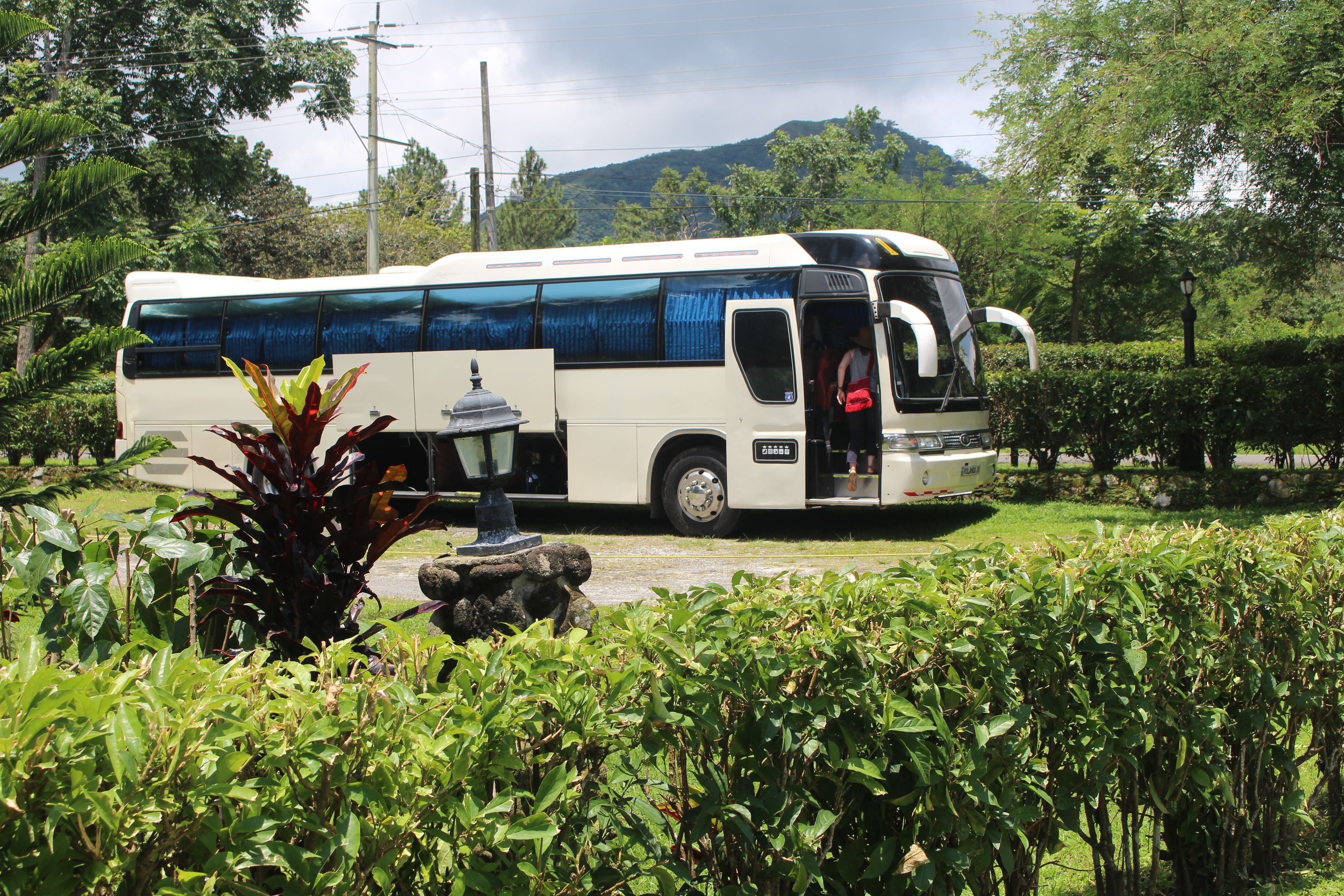 A bus parked in a lush green area with a mountainous backdrop.