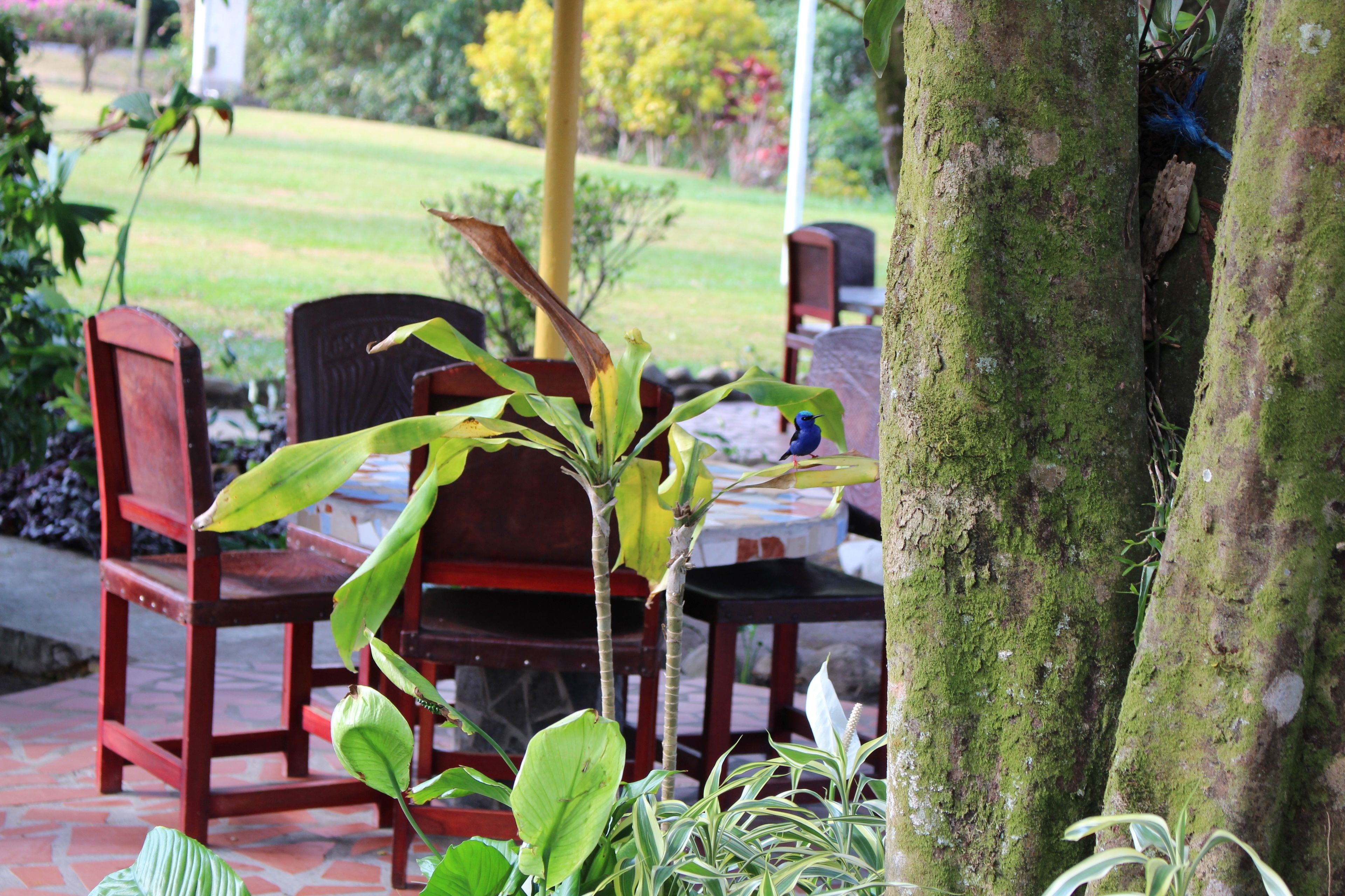 Photo - Hotel Valle Verde