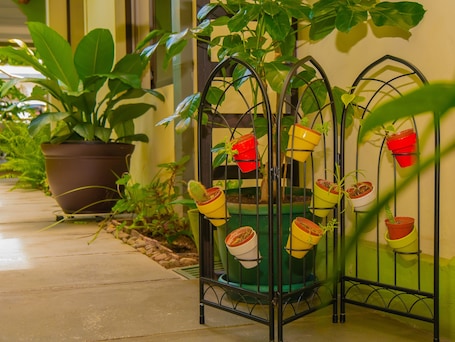 Jardín