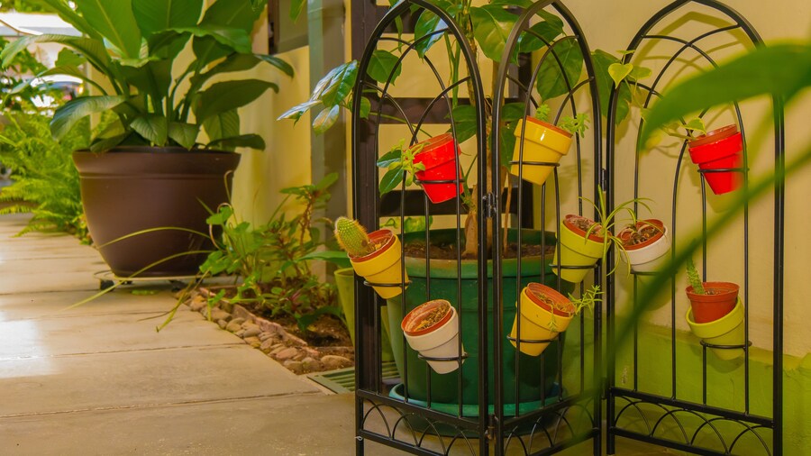 Hotel Bamboo Aeropuerto