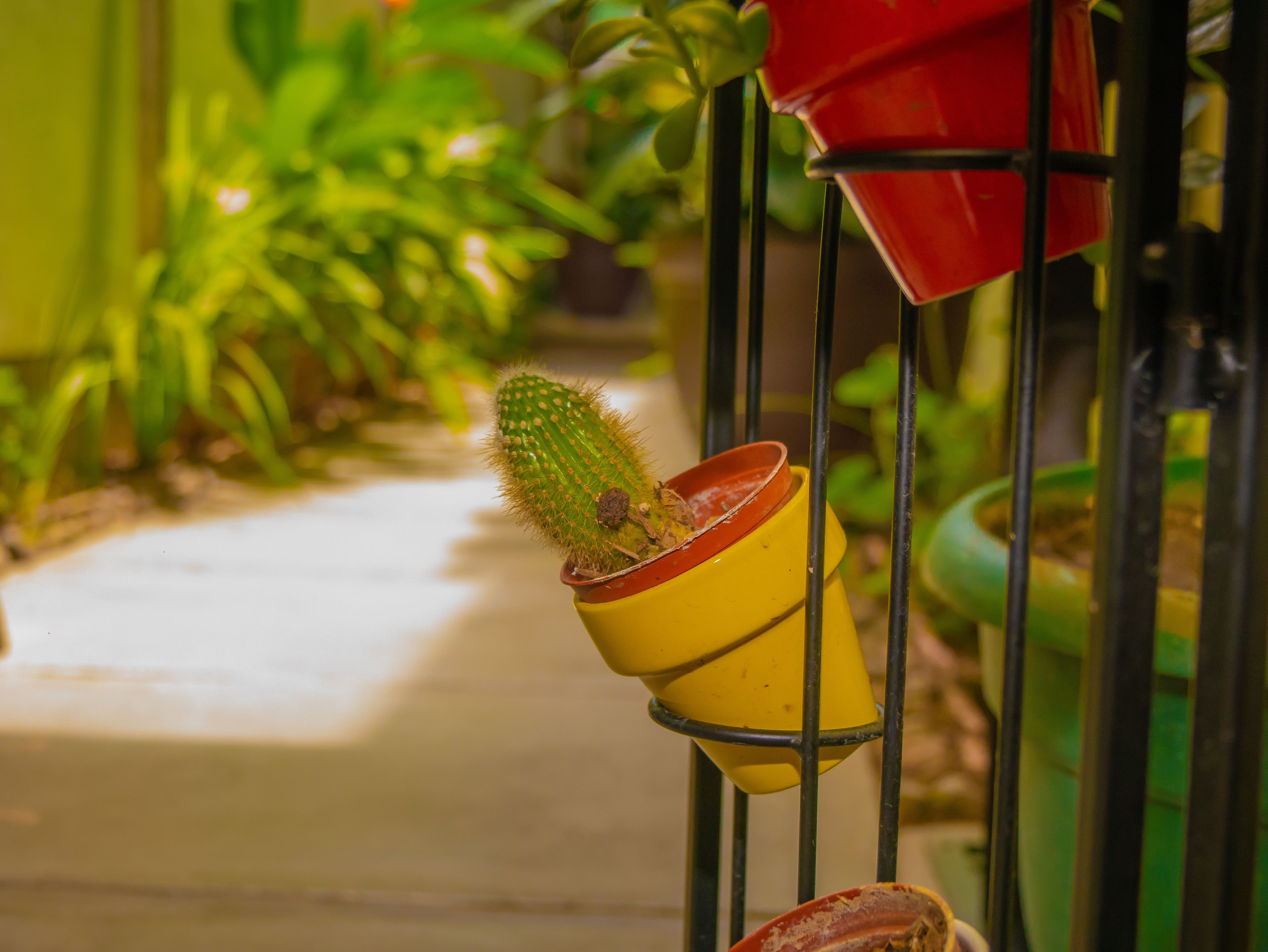 Foto - Hotel Bamboo Aeropuerto