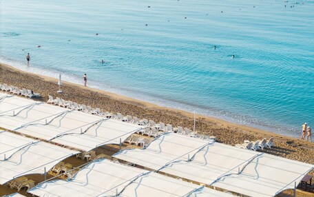 A beach with rows of sunbeds and umbrellas, a sandy shore, and calm blue water.