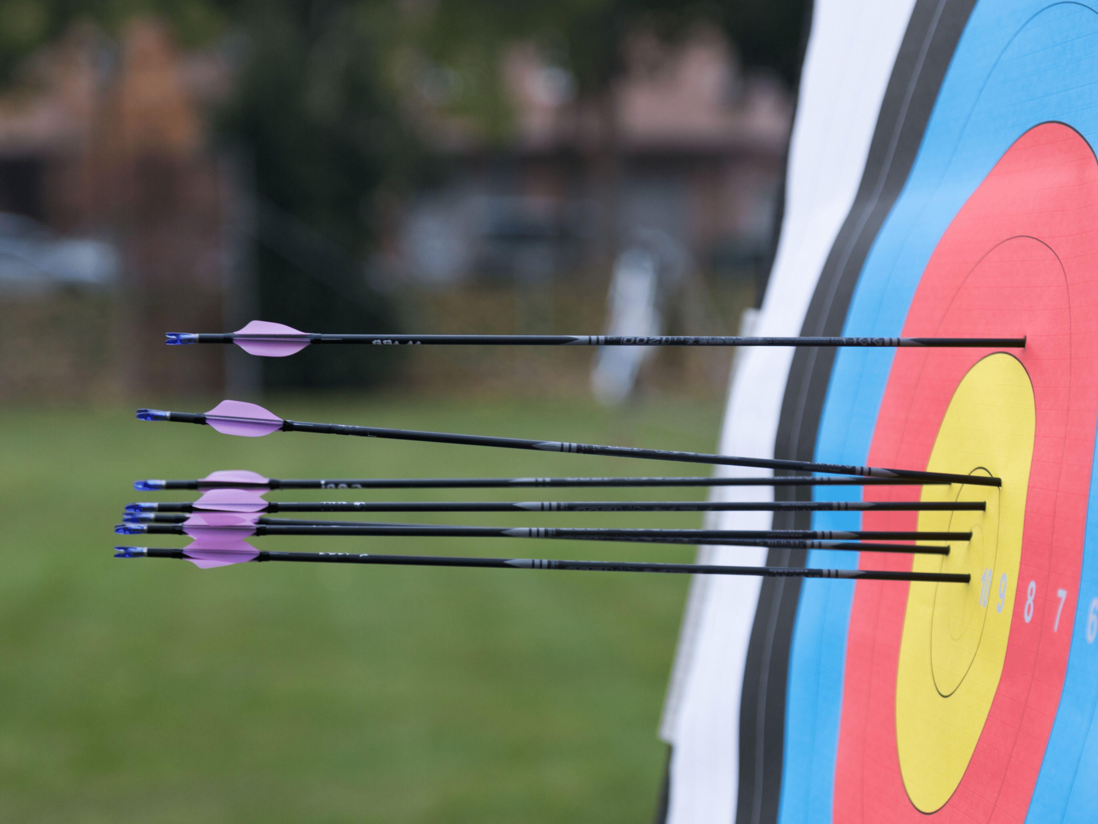 A target with arrows embedded in it.