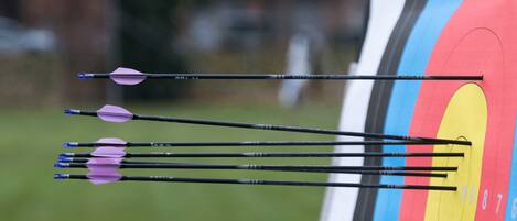 A target with arrows embedded in it.