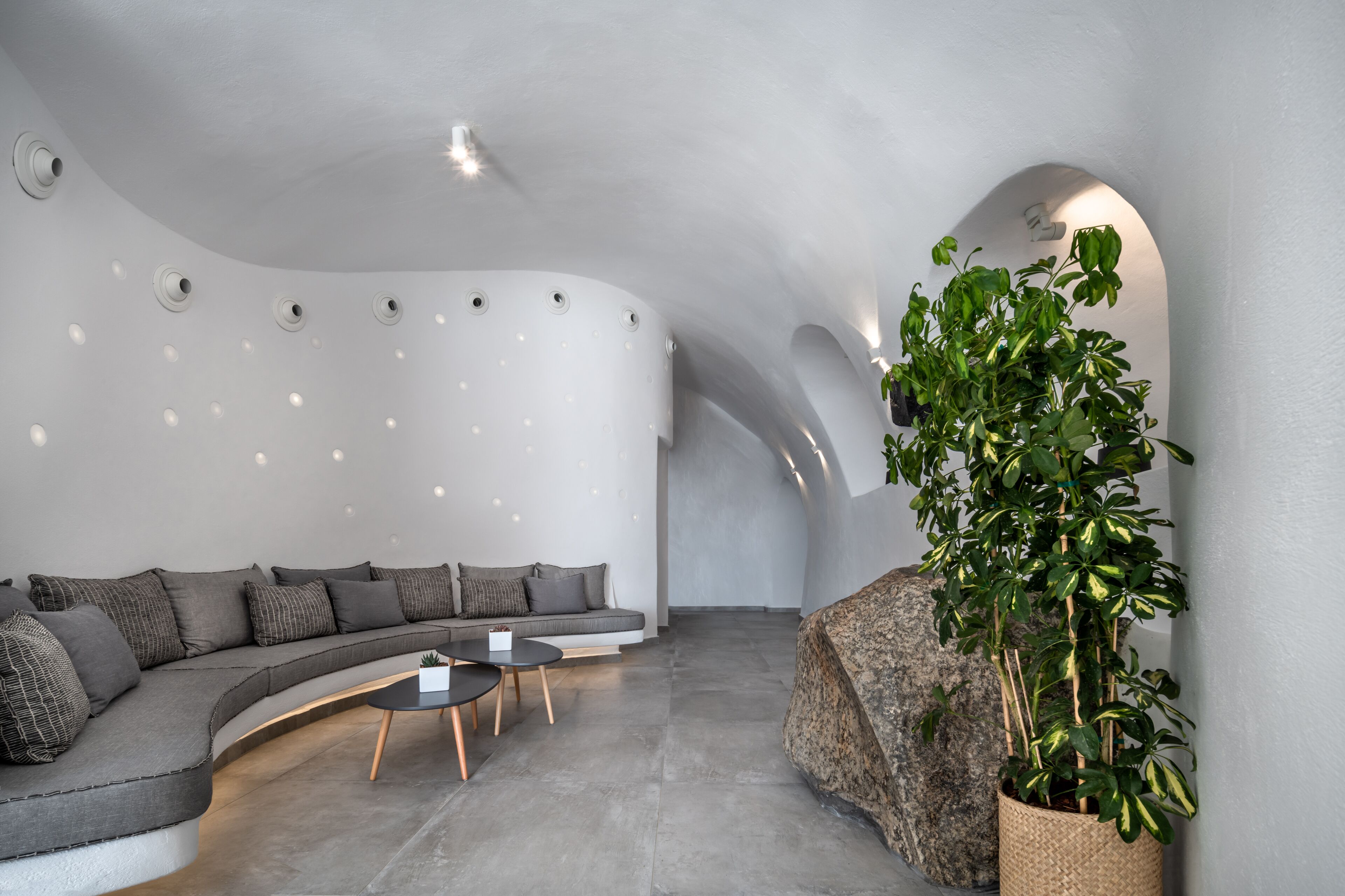 A modern interior with a curved sofa, a small round table, and a large plant in a woven basket.