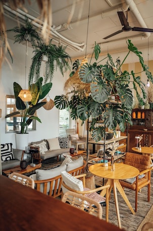 供应早餐、午餐和晚餐,地区菜