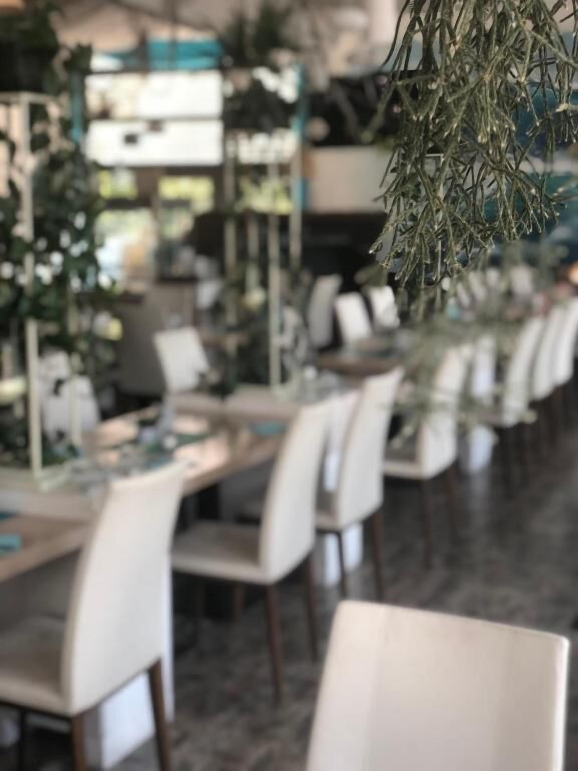 Een restaurant met witte stoelen en tafels, een plant dat van het plafond hangt, en een onscherpe achtergrond.