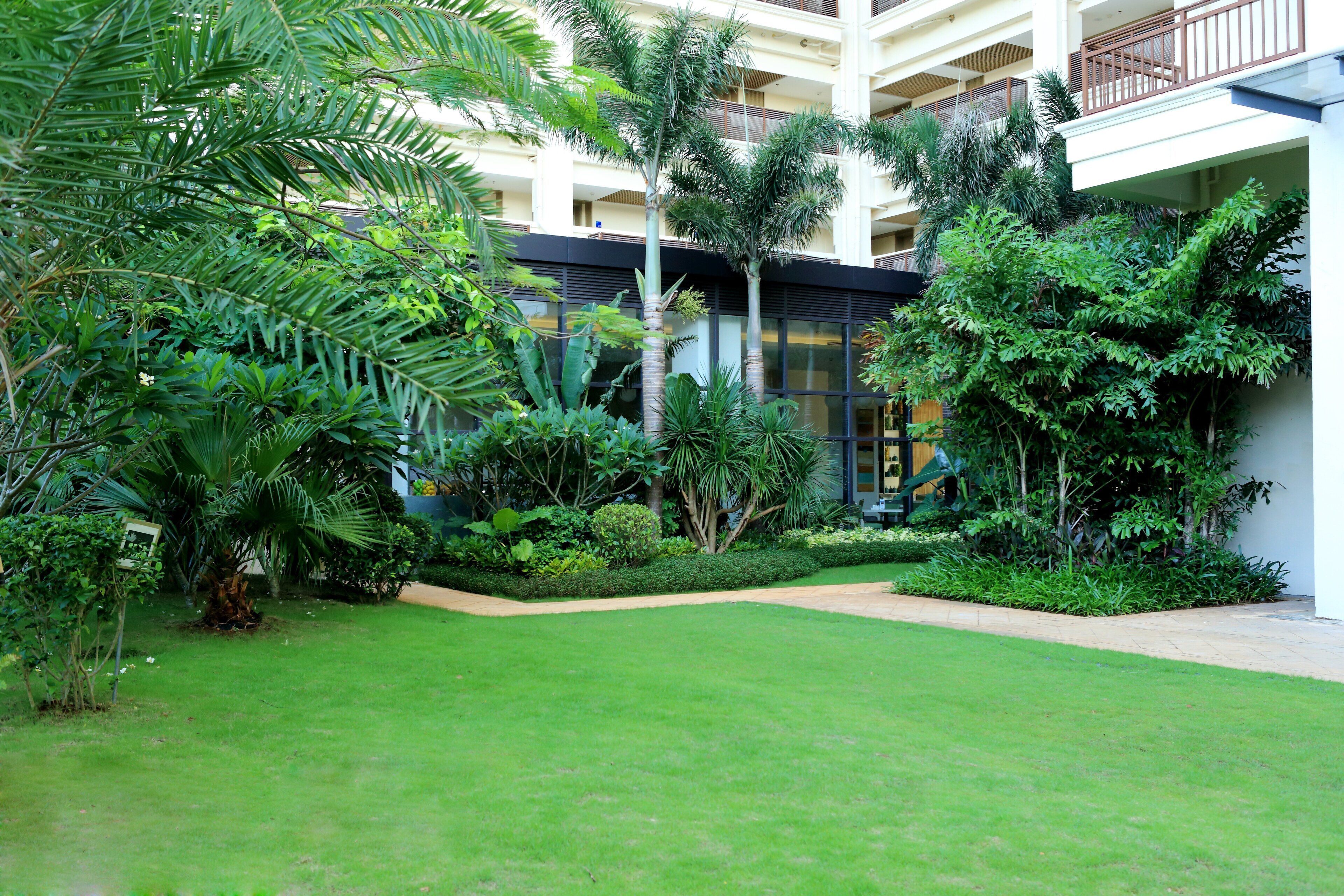 Jardim