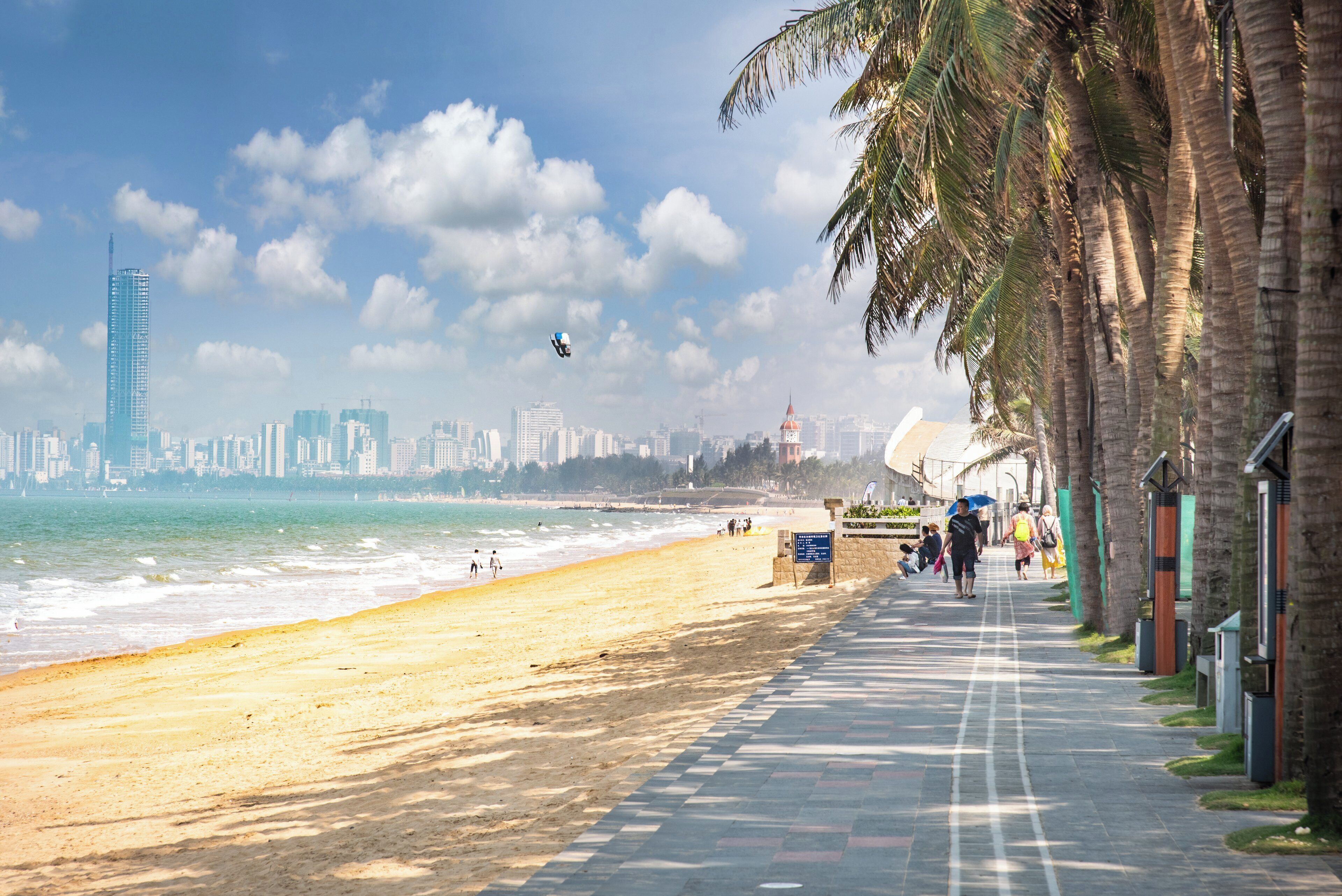 A beach with a city skyline in the background, a clear sky, and a palm tree-lined walkway.