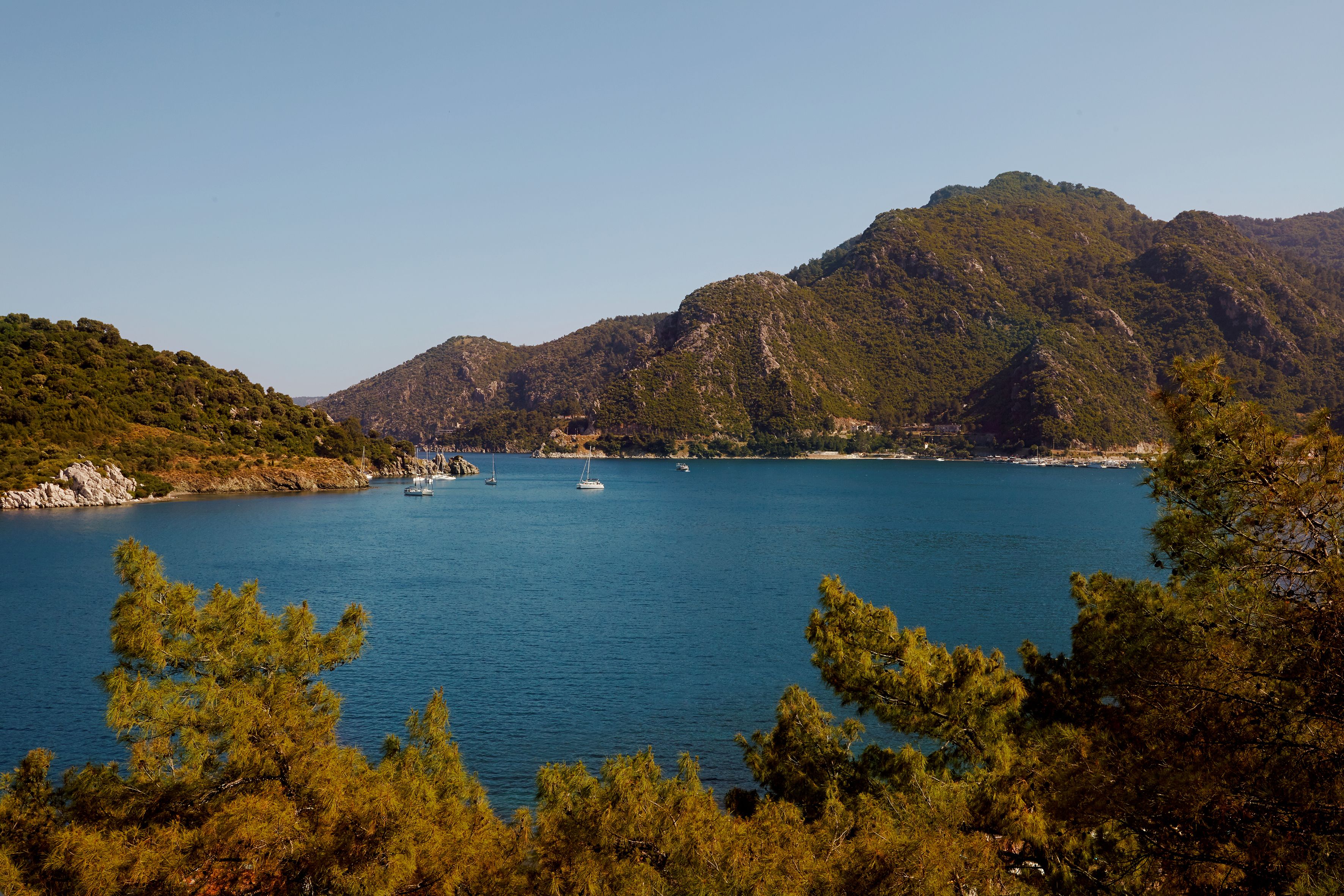 Foto - Orka Lotus Beach