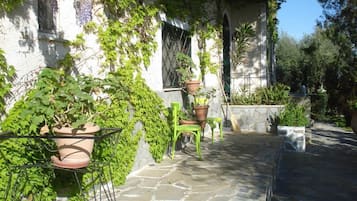 Teras/patio