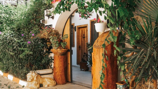 A courtyard with a lion statue, potted plants, and a wooden door leading to a room. - Akkan Hotel (Bodrum)