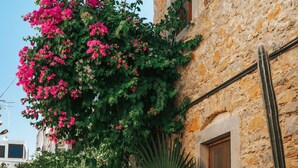 A stone building with a cactus, a lion statue, and various plants. - Akkan Hotel (Bodrum)