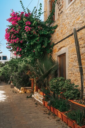 Exterior - Akkan Hotel (Bodrum)