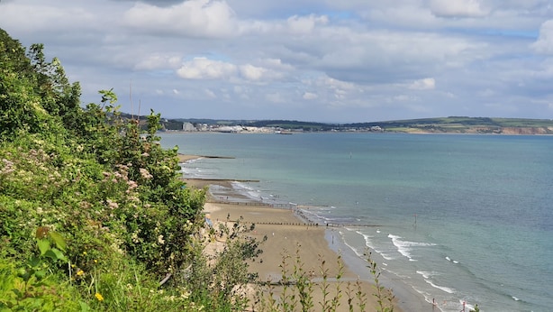 A coastal landscape with a beach, a pier, and a distant town. - Parterre Holiday Apartments (Sandown)