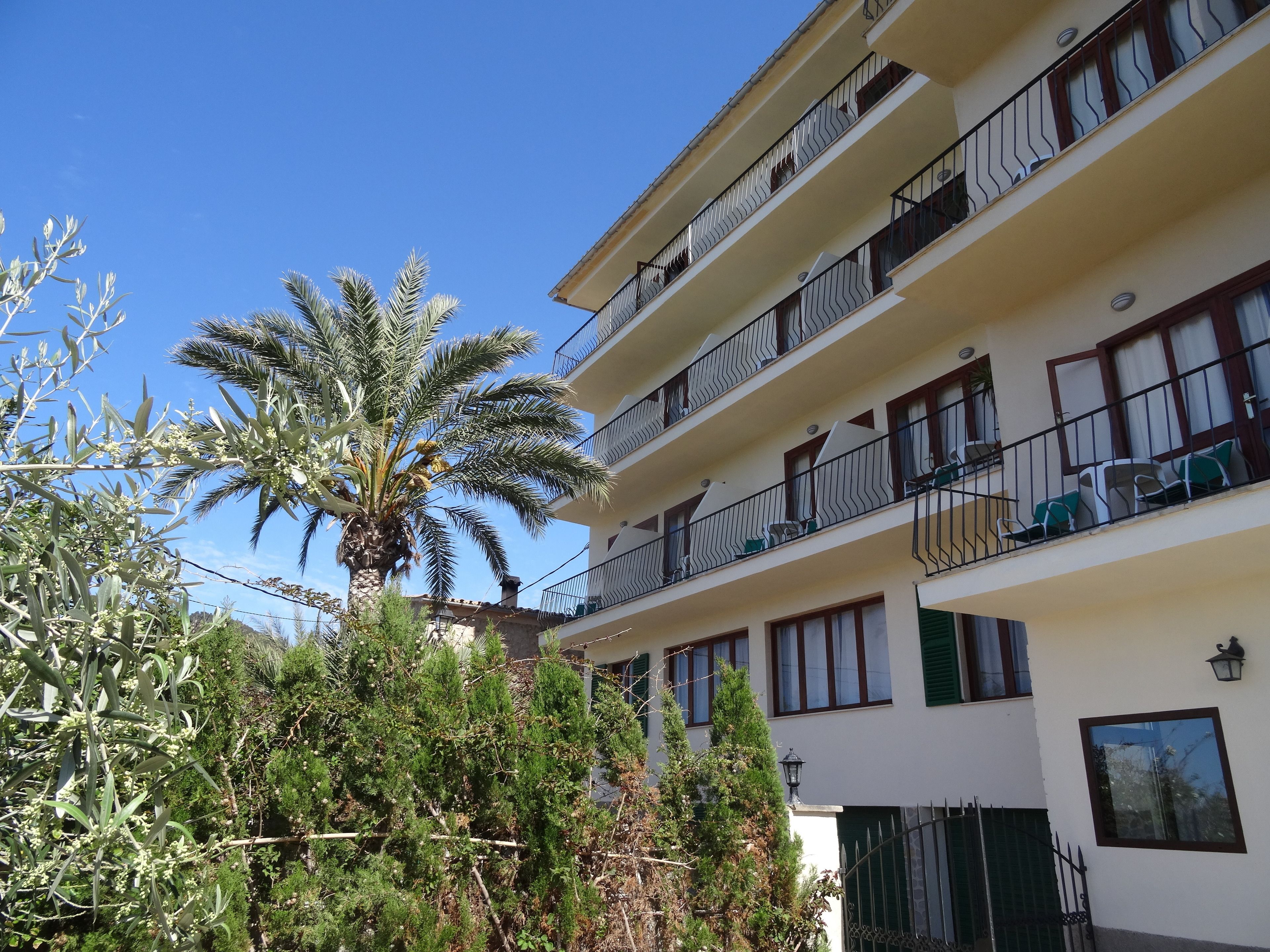 A multi-story building with balconies, a palm tree, and various shrubs.