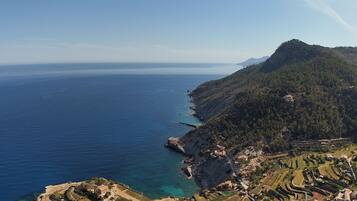 Vista aérea de una zona costera con viñedos en terrazas, mar azul cristalino y montañas al fondo.