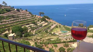 Uitzicht vanuit accommodatie