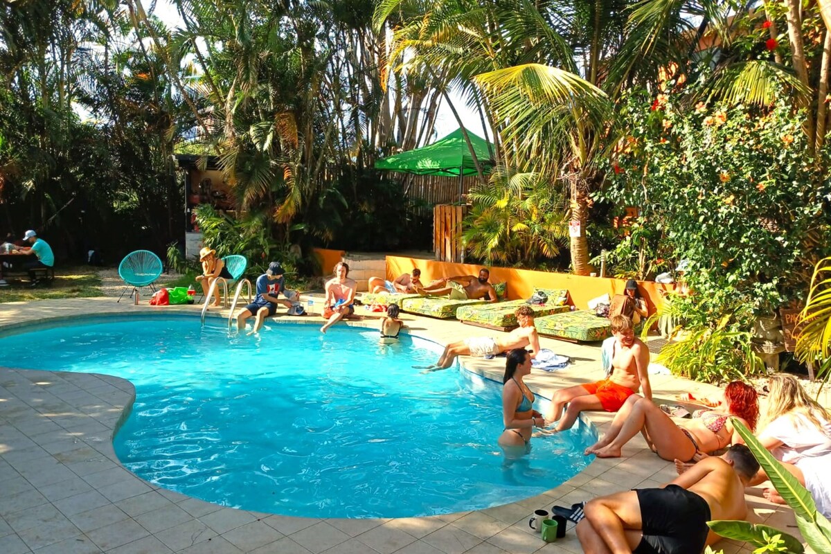 A swimming pool surrounded by lounge chairs and palm trees, with people relaxing and swimming.