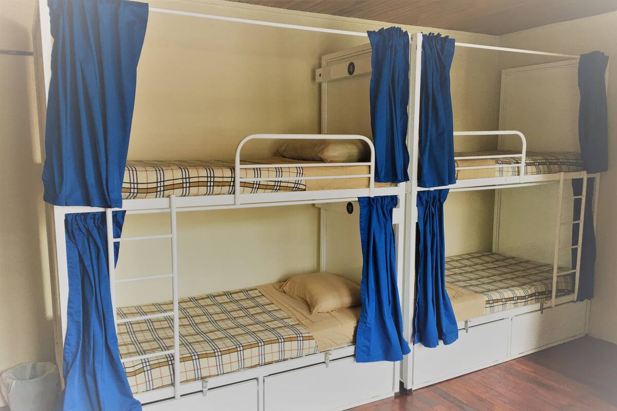 A bunk bed room with blue curtains, a pet bed, and a small trash bin.