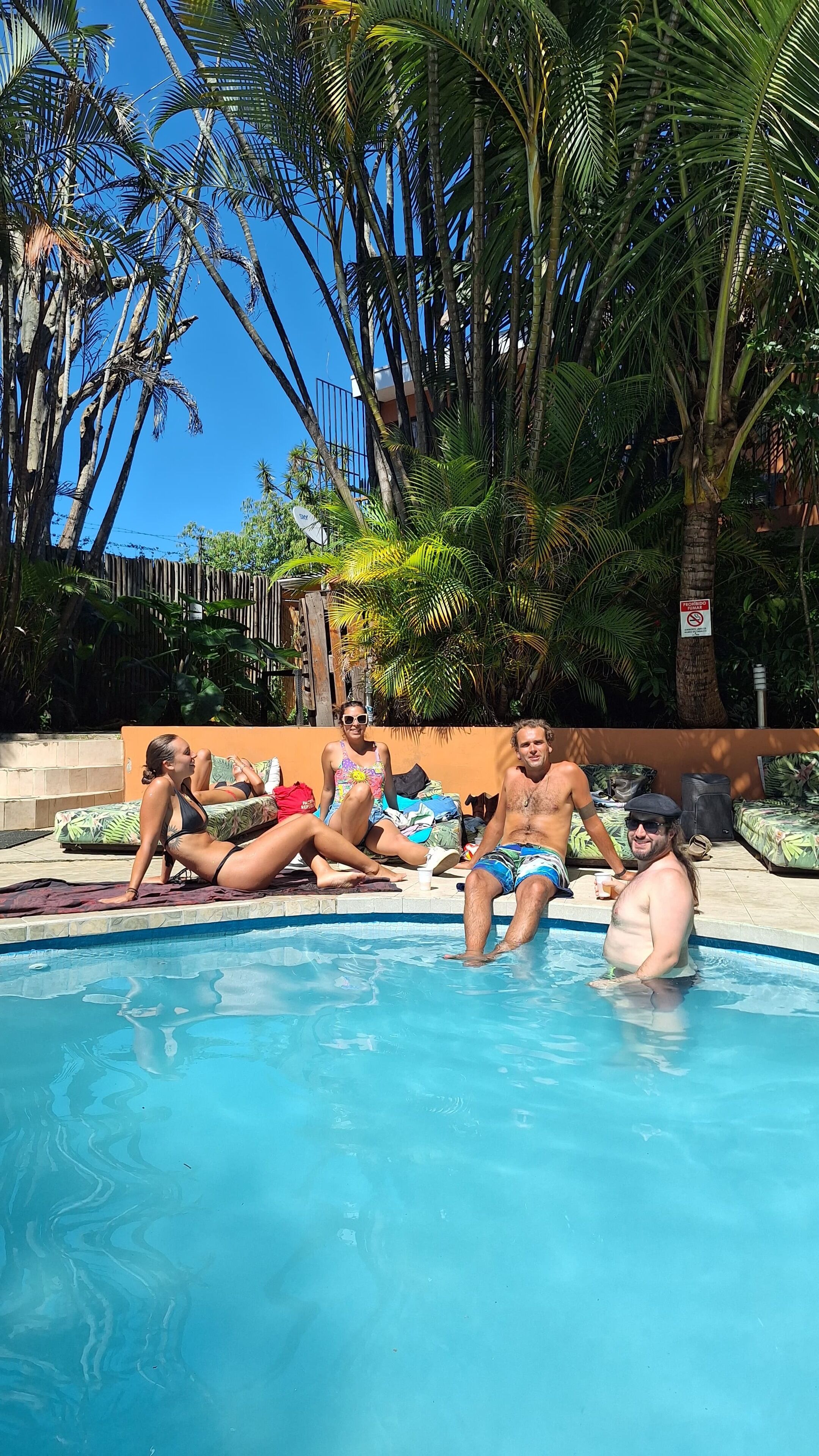 A pool area with people relaxing, surrounded by palm trees and a clear blue sky.