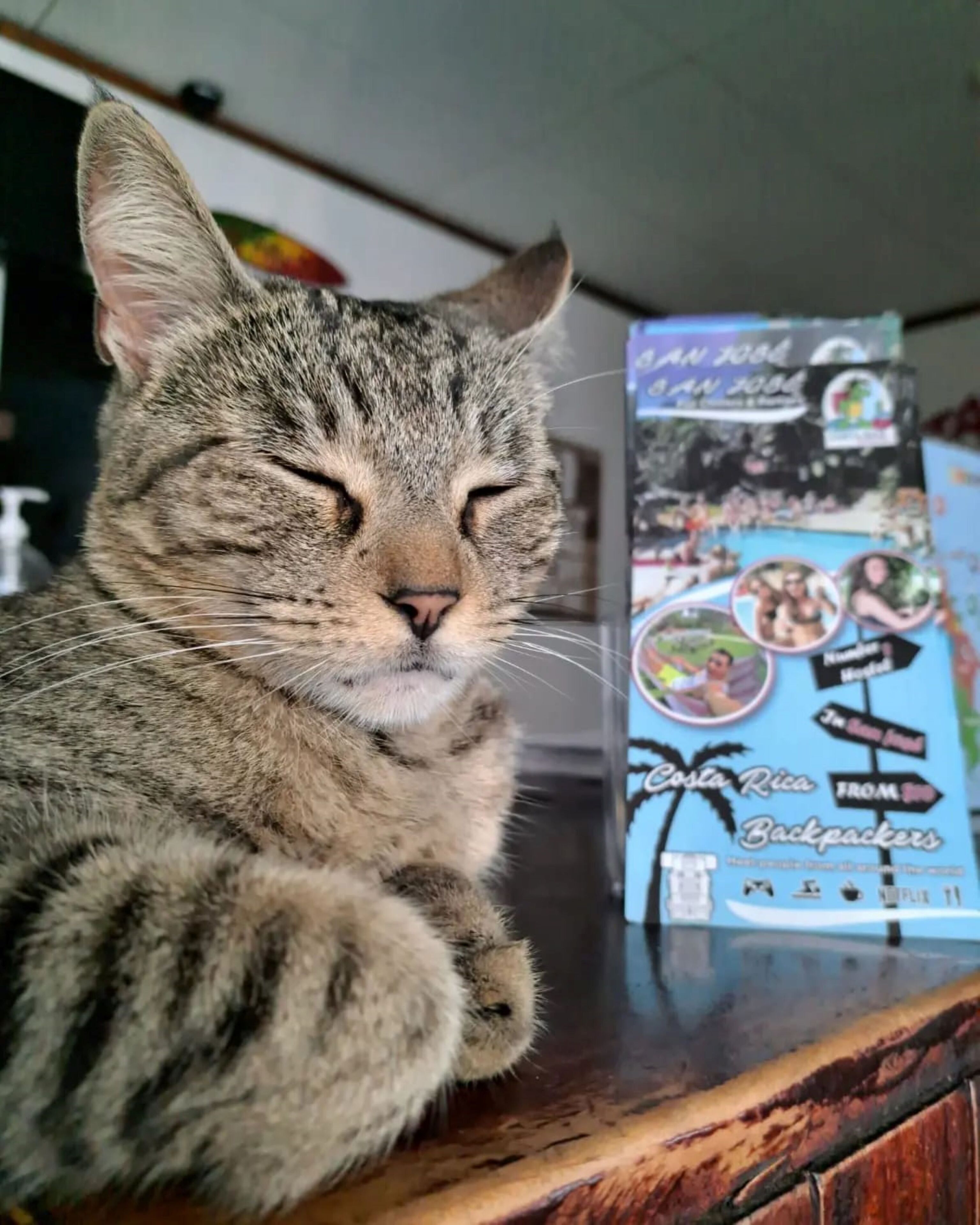 Foto - Costa Rica Backpackers