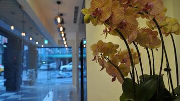 A hallway with a potted orchid plant on the right and a view of a parking lot with cars in the background.
