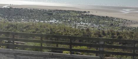 Una carretera costera con una playa y terreno rocoso al fondo.