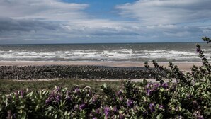 A beach with waves, a rocky shoreline, and some vegetation in the foreground. - Bailey Ground Lodge (Seascale)