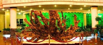 Wuyi Garden Hotel