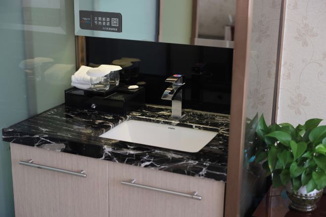 A bathroom with a black marble sink, a mirror, and a potted plant.